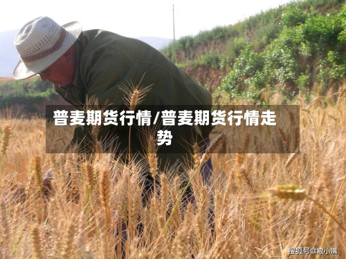 普麦期货行情/普麦期货行情走势