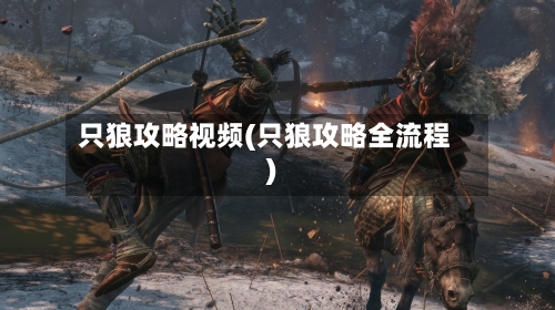 只狼攻略视频(只狼攻略全流程)-第3张图片