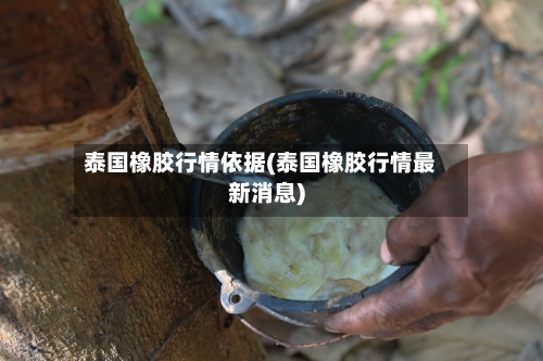 泰国橡胶行情依据(泰国橡胶行情最新消息)-第2张图片