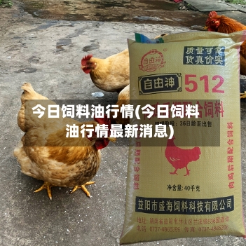 今日饲料油行情(今日饲料油行情最新消息)