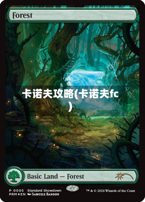 卡诺夫攻略(卡诺夫fc)