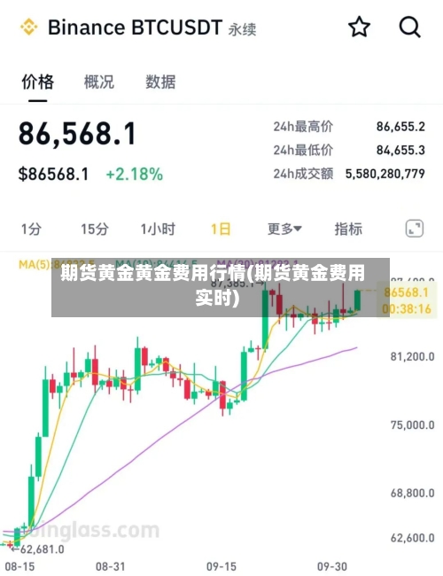期货黄金黄金费用行情(期货黄金费用实时)