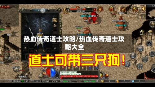 热血传奇道士攻略/热血传奇道士攻略大全