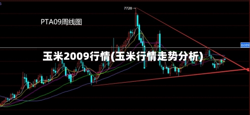 玉米2009行情(玉米行情走势分析)