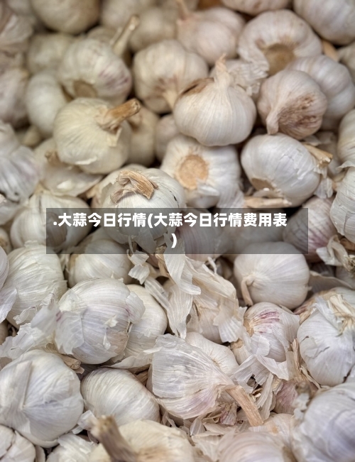 .大蒜今日行情(大蒜今日行情费用表)