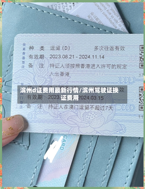 滨州d证费用最新行情/滨州驾驶证换证费用-第2张图片