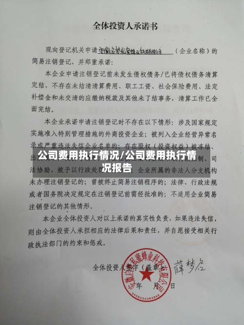 公司费用执行情况/公司费用执行情况报告-第2张图片