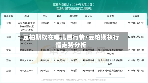 豆柏期权在哪儿看行情/豆粕期权行情走势分析-第3张图片