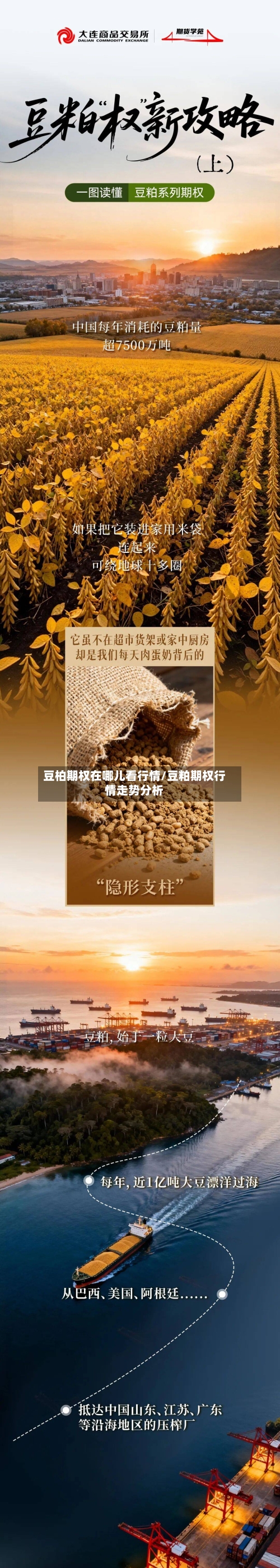 豆柏期权在哪儿看行情/豆粕期权行情走势分析