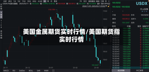 美国金属期货实时行情/美国期货指实时行情