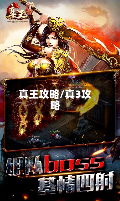 真王攻略/真3攻略