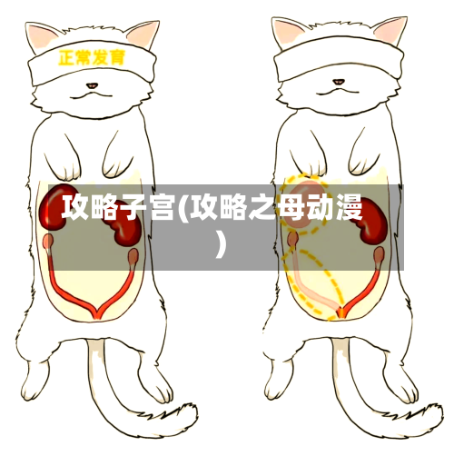 攻略子宫(攻略之母动漫)