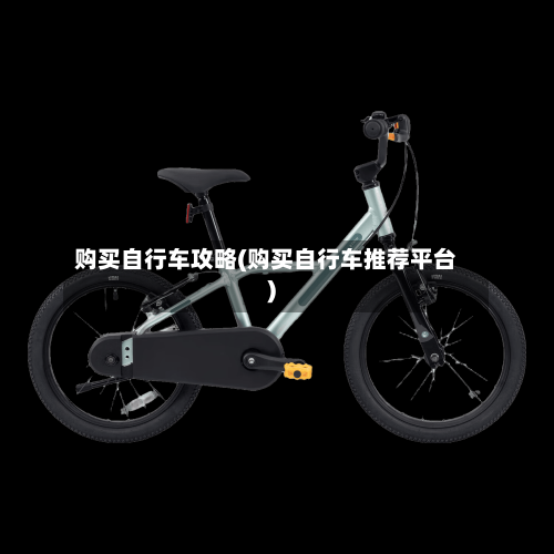 购买自行车攻略(购买自行车推荐平台)