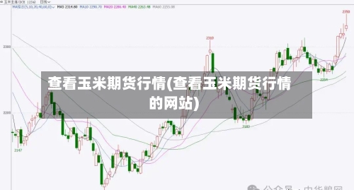 查看玉米期货行情(查看玉米期货行情的网站)