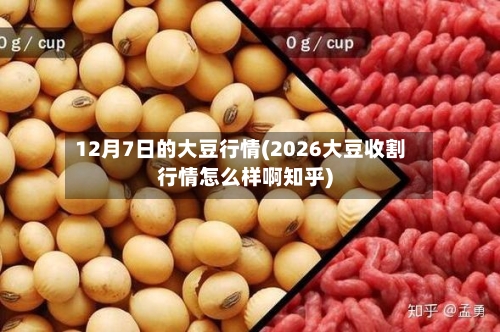 12月7日的大豆行情(2026大豆收割行情怎么样啊知乎)