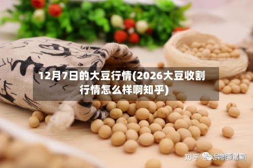 12月7日的大豆行情(2026大豆收割行情怎么样啊知乎)-第2张图片