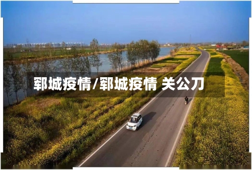 郓城疫情/郓城疫情 关公刀-第2张图片