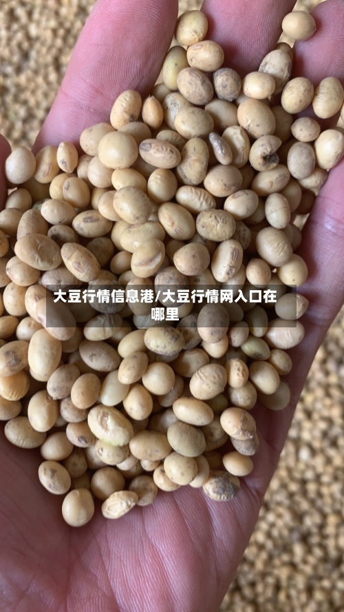 大豆行情信息港/大豆行情网入口在哪里-第2张图片