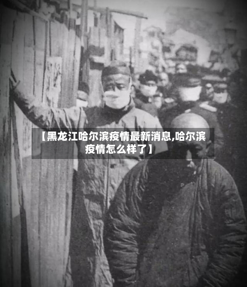 【黑龙江哈尔滨疫情最新消息,哈尔滨疫情怎么样了】