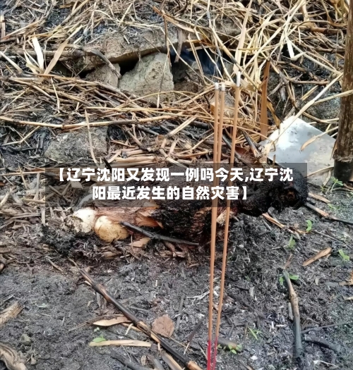【辽宁沈阳又发现一例吗今天,辽宁沈阳最近发生的自然灾害】-第2张图片