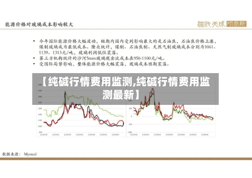 【纯碱行情费用监测,纯碱行情费用监测最新】