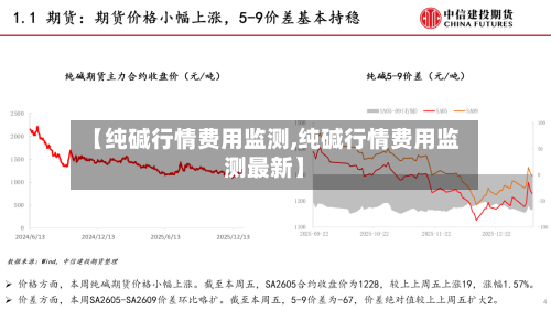 【纯碱行情费用监测,纯碱行情费用监测最新】-第2张图片