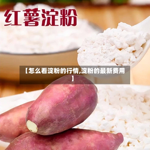 【怎么看淀粉的行情,淀粉的最新费用】-第3张图片