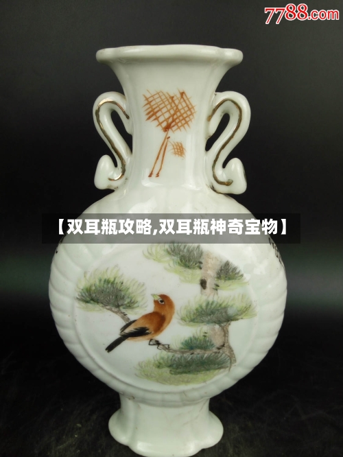 【双耳瓶攻略,双耳瓶神奇宝物】