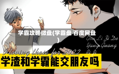 学霸攻略微盘(学霸盘 百度网盘)