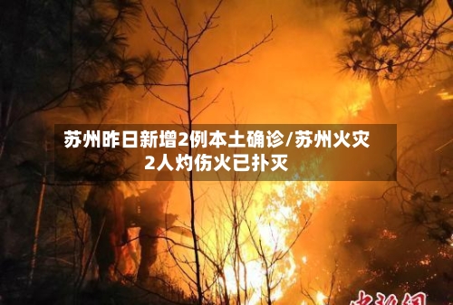 苏州昨日新增2例本土确诊/苏州火灾2人灼伤火已扑灭