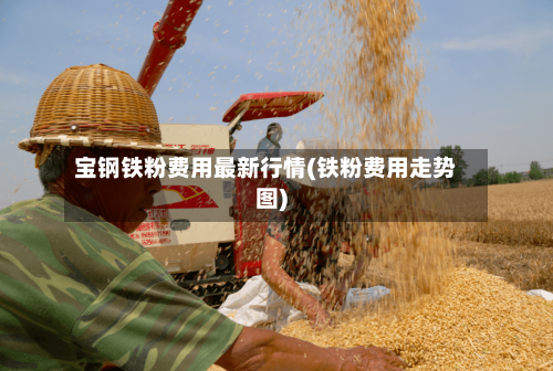 宝钢铁粉费用最新行情(铁粉费用走势图)