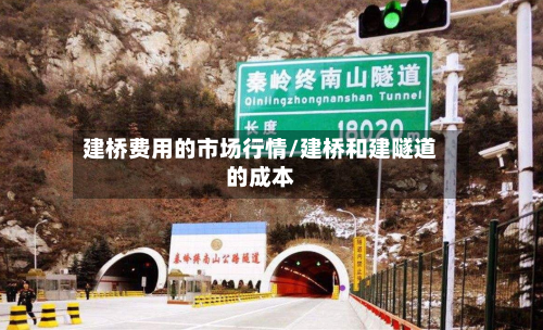 建桥费用的市场行情/建桥和建隧道的成本-第3张图片