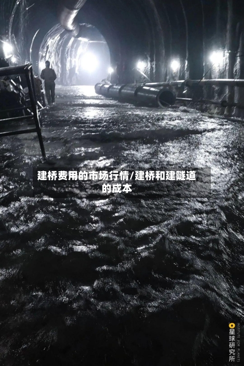 建桥费用的市场行情/建桥和建隧道的成本