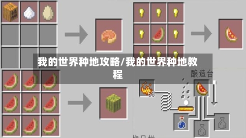 我的世界种地攻略/我的世界种地教程