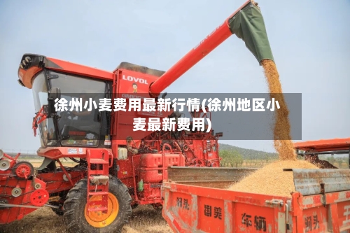 徐州小麦费用最新行情(徐州地区小麦最新费用)