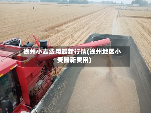 徐州小麦费用最新行情(徐州地区小麦最新费用)-第3张图片