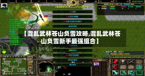 【混乱武林苍山负雪攻略,混乱武林苍山负雪新手最强组合】