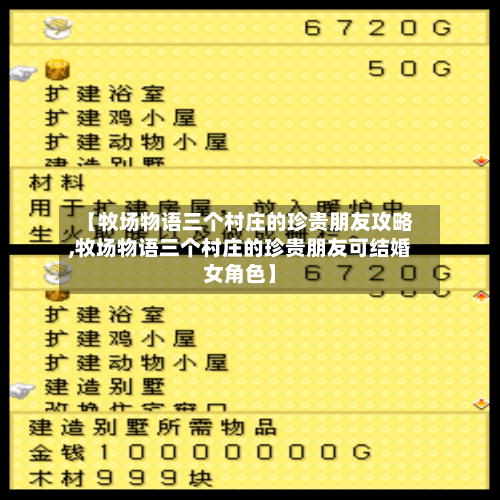【牧场物语三个村庄的珍贵朋友攻略,牧场物语三个村庄的珍贵朋友可结婚女角色】