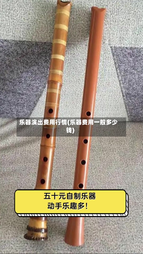 乐器演出费用行情(乐器费用一般多少钱)-第2张图片