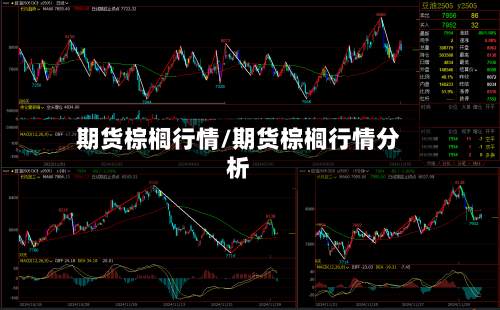 期货棕榈行情/期货棕榈行情分析