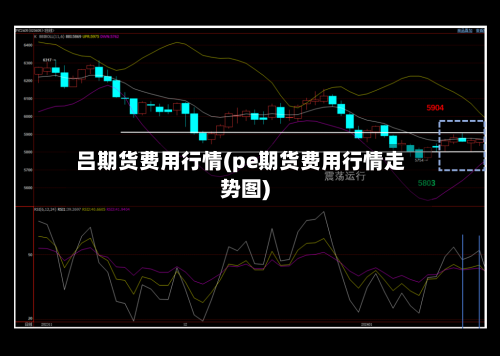 吕期货费用行情(pe期货费用行情走势图)