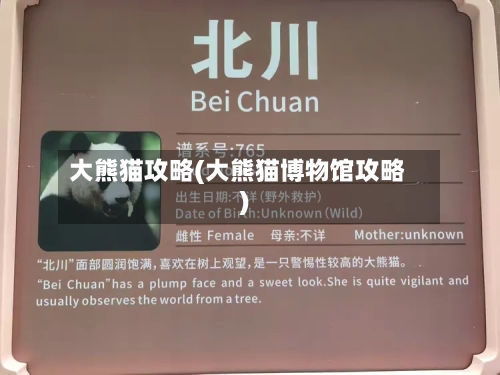 大熊猫攻略(大熊猫博物馆攻略)-第2张图片