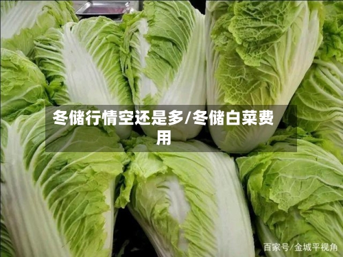 冬储行情空还是多/冬储白菜费用
