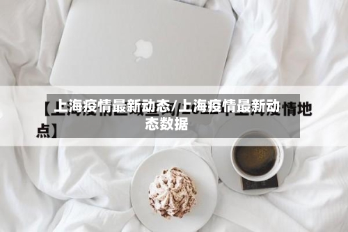 上海疫情最新动态/上海疫情最新动态数据-第2张图片