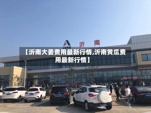 【沂南大姜费用最新行情,沂南黄瓜费用最新行情】
