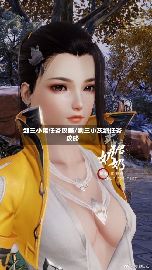 剑三小诺任务攻略/剑三小灰鹅任务攻略-第3张图片