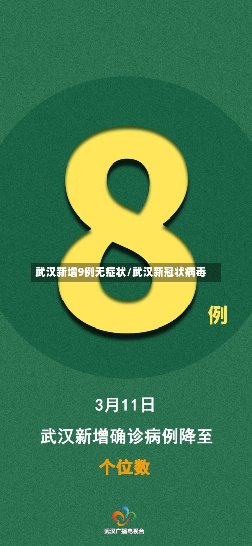 武汉新增9例无症状/武汉新冠状病毒-第3张图片