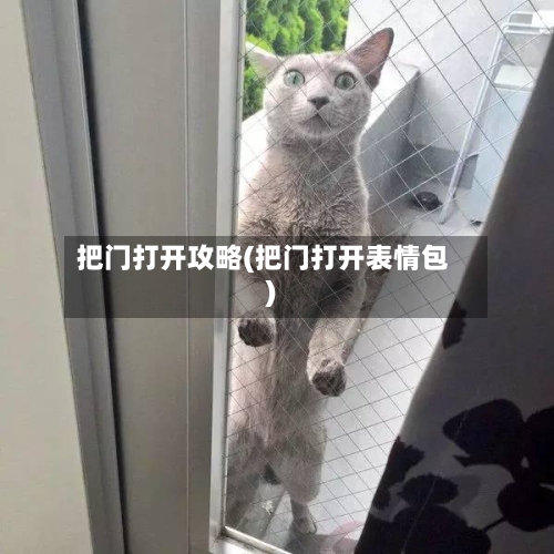 把门打开攻略(把门打开表情包)-第2张图片