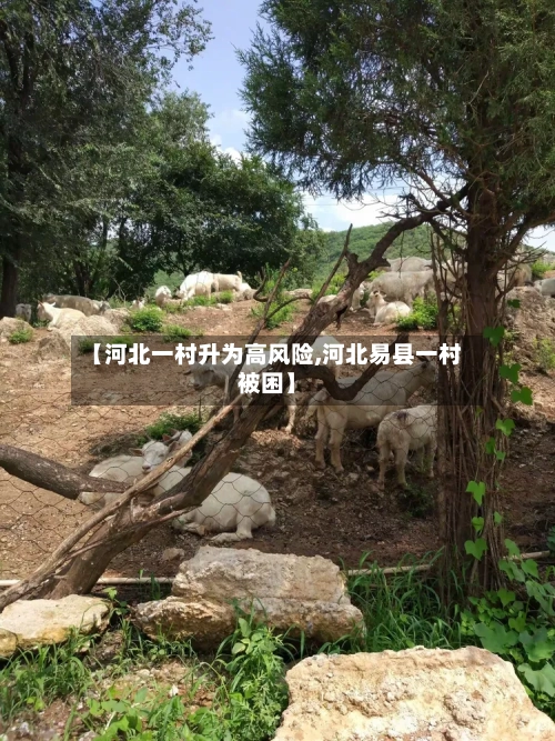 【河北一村升为高风险,河北易县一村被困】-第2张图片