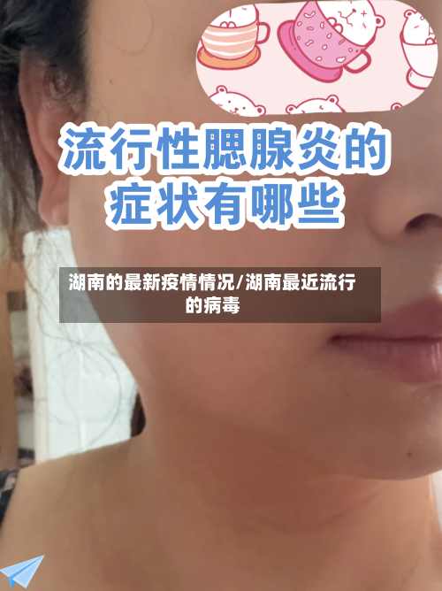 湖南的最新疫情情况/湖南最近流行的病毒